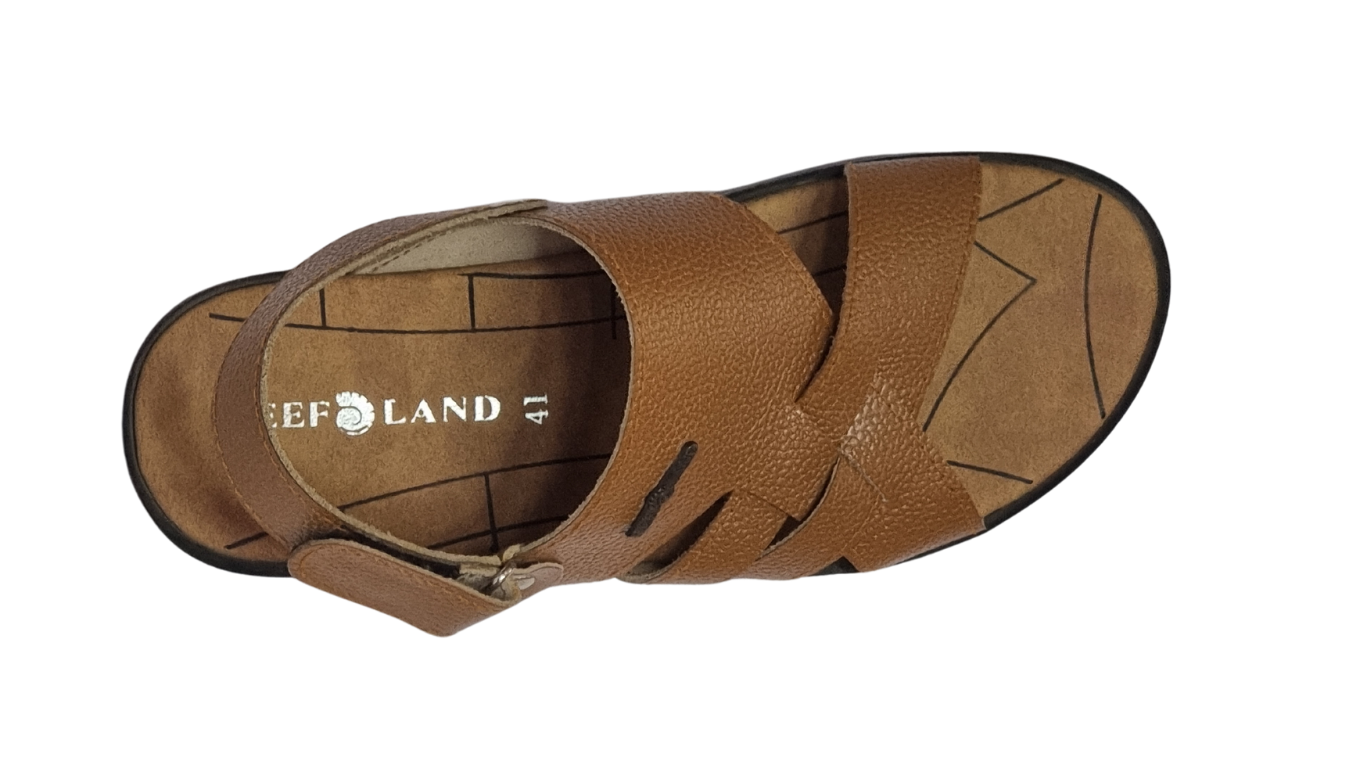 Reefland Stylish Brown Chic